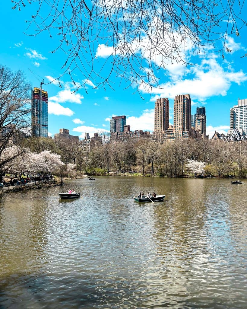 Central Park in NYC on a spring day featuring tall buildings, cherry blossoms, and rowboats on the lake