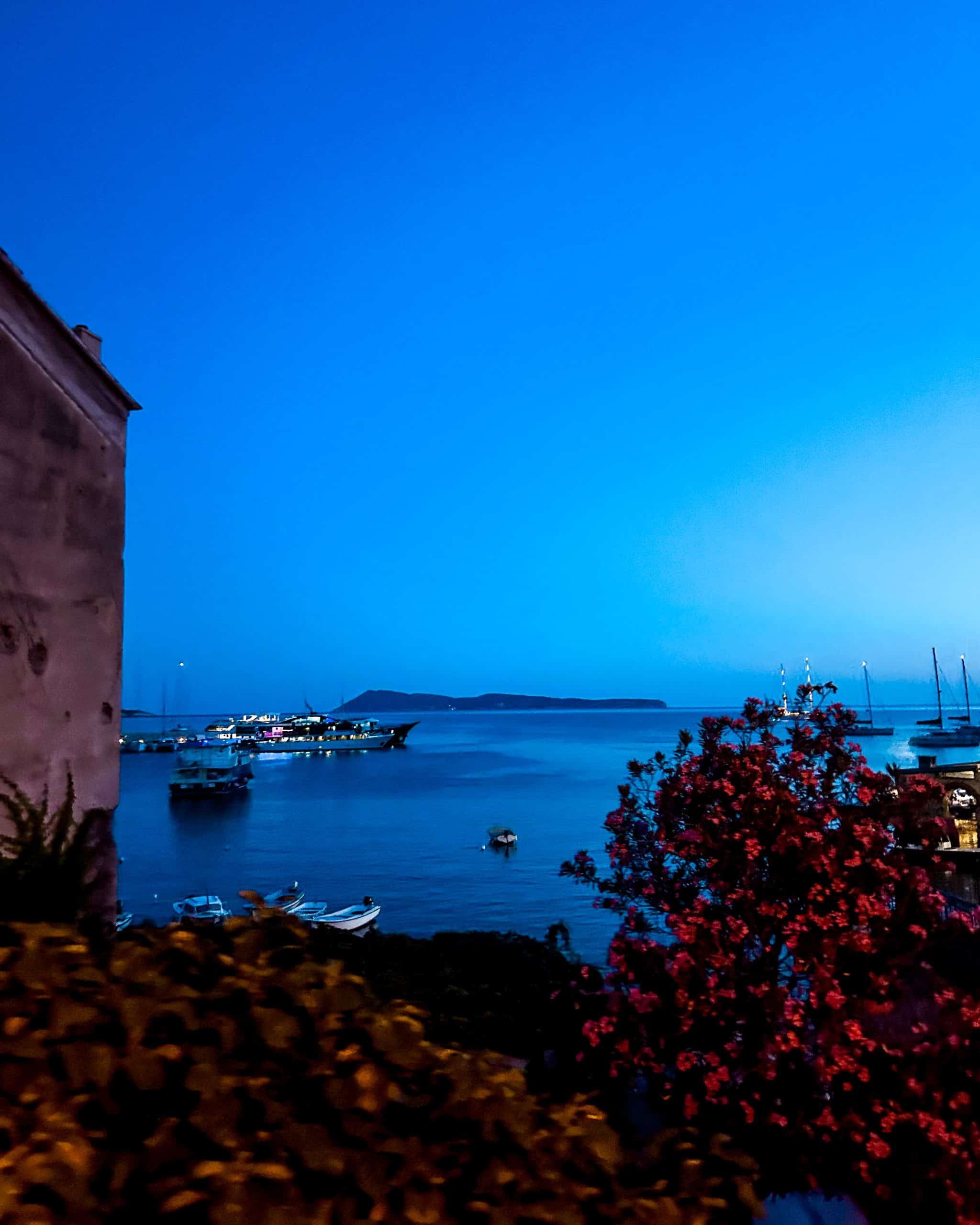 Is Croatia worth visiting? Boats in the Marina at dusk in Croatia with flowers in the foregroud and an island in the background