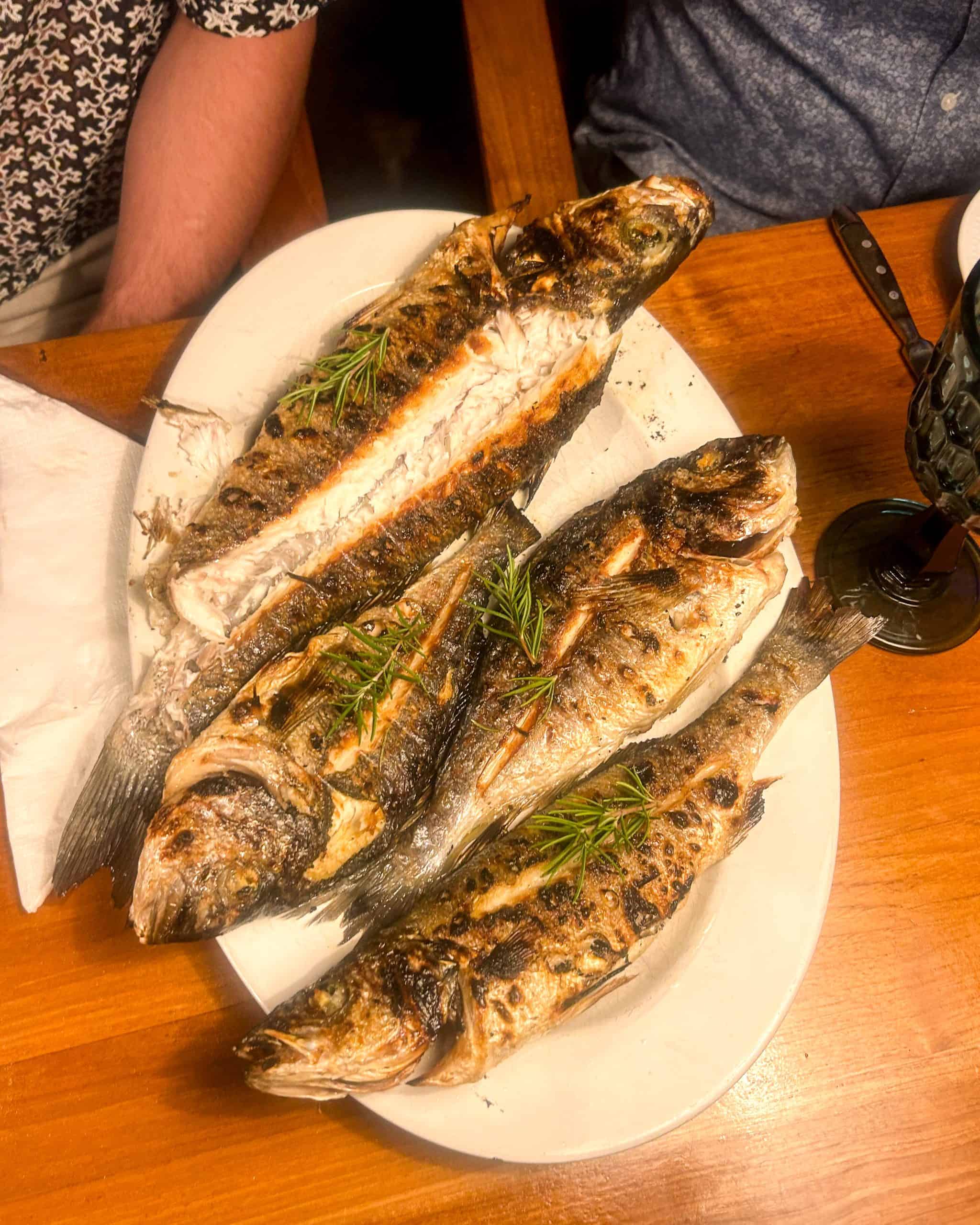 Is Croatia worth visiting? Fresh fish at a restaurant in Croatia