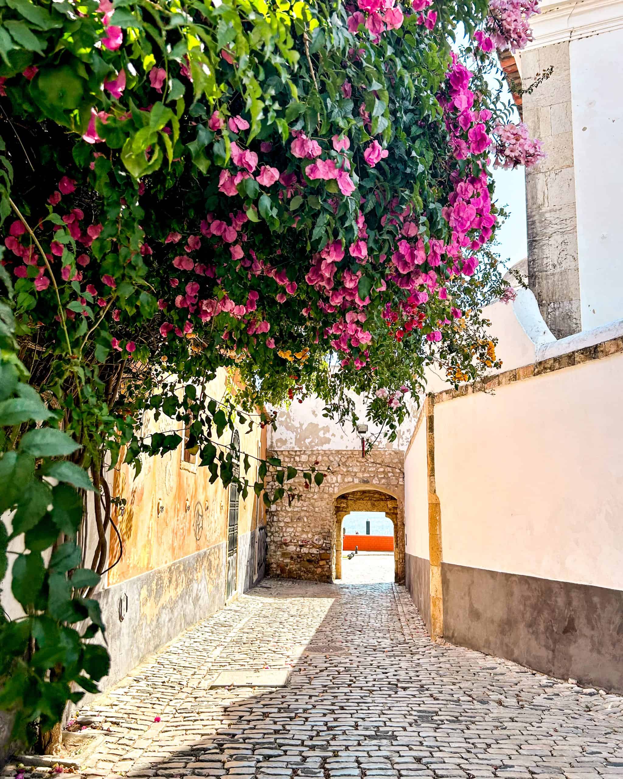 a beautiful historic archway made of stone on a cobblestones street in Faro, Portugal with bright pink and green flowers in the forefront