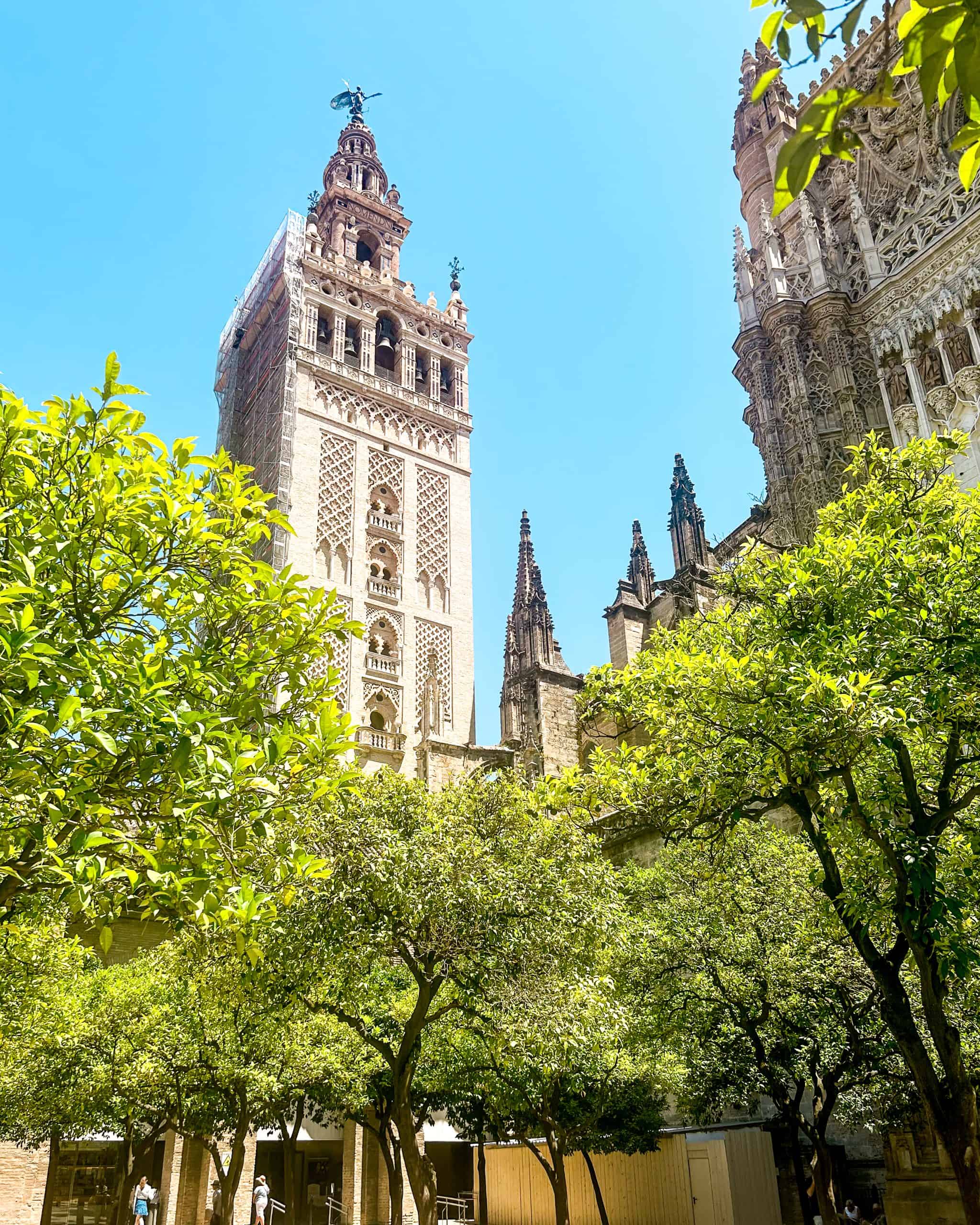 the Seville cathedral on a sunny summer day surrounded by trees in Seville, Spain