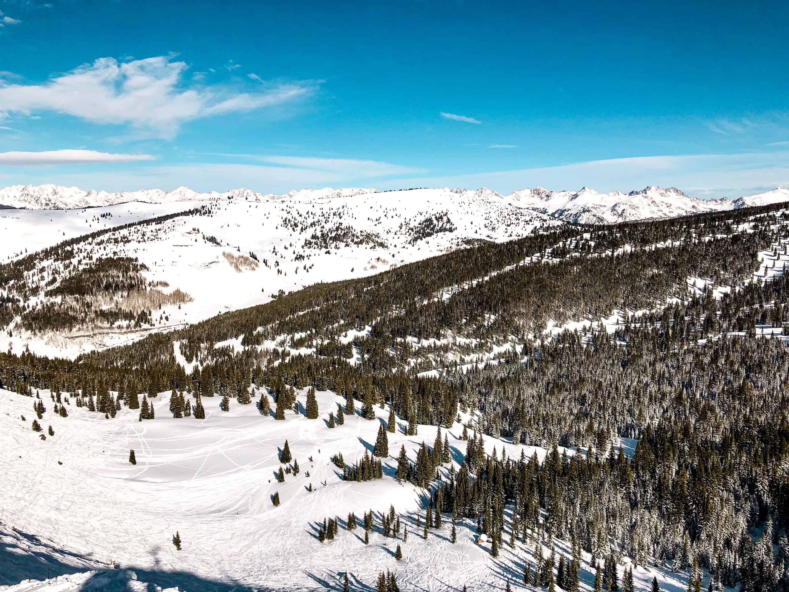 Panoramic view of Vail’s Back Bowls showing rolling alpine terrain and evergreen forests in Colorado