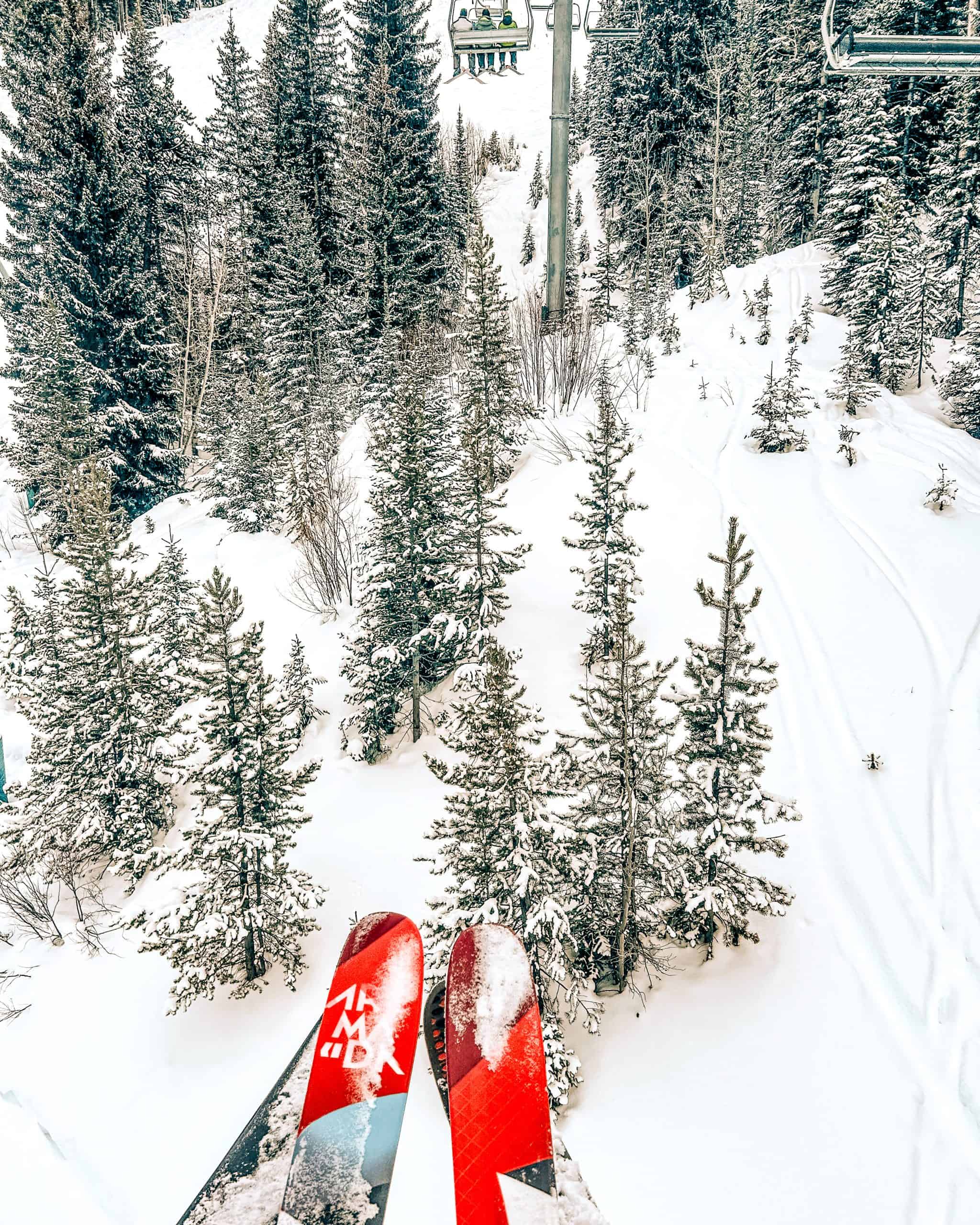 Skiing in Beaver Creek Resort with chairlifts, fresh snow, and forested runs