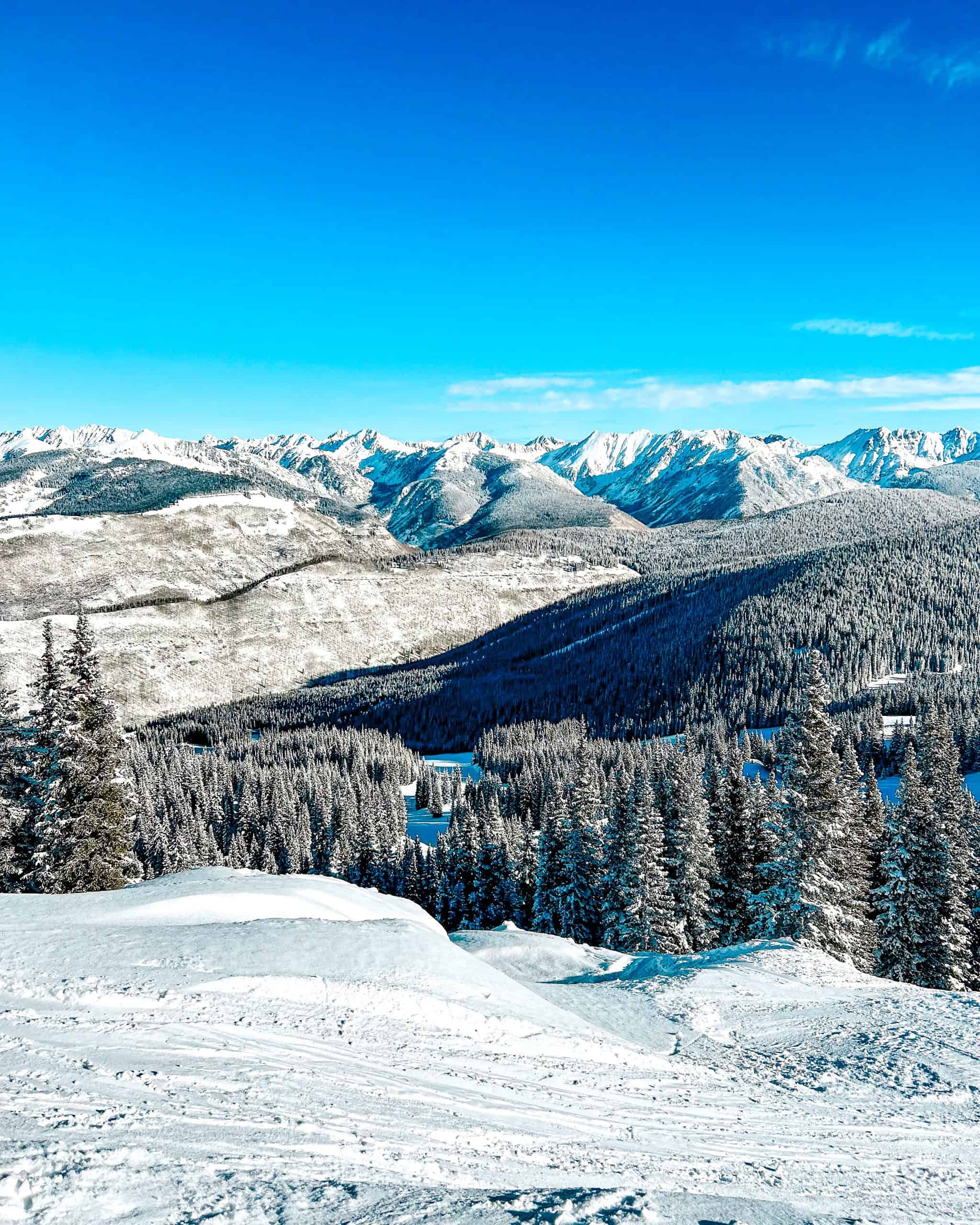 Winter landscape at Vail Resort with snow-covered trees and mountain views 
