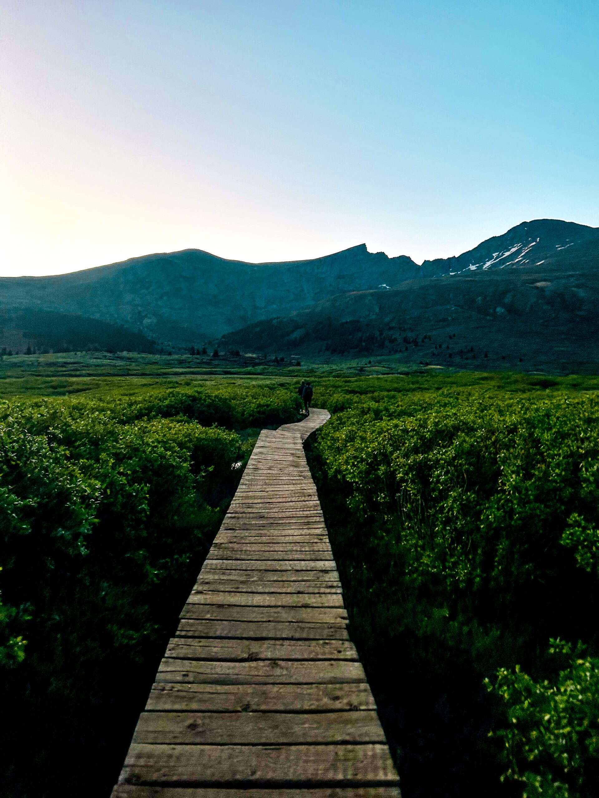 Scenic boardwalk trail on Mt. Bierstadt with alpine mountains, a popular day trip from Denver