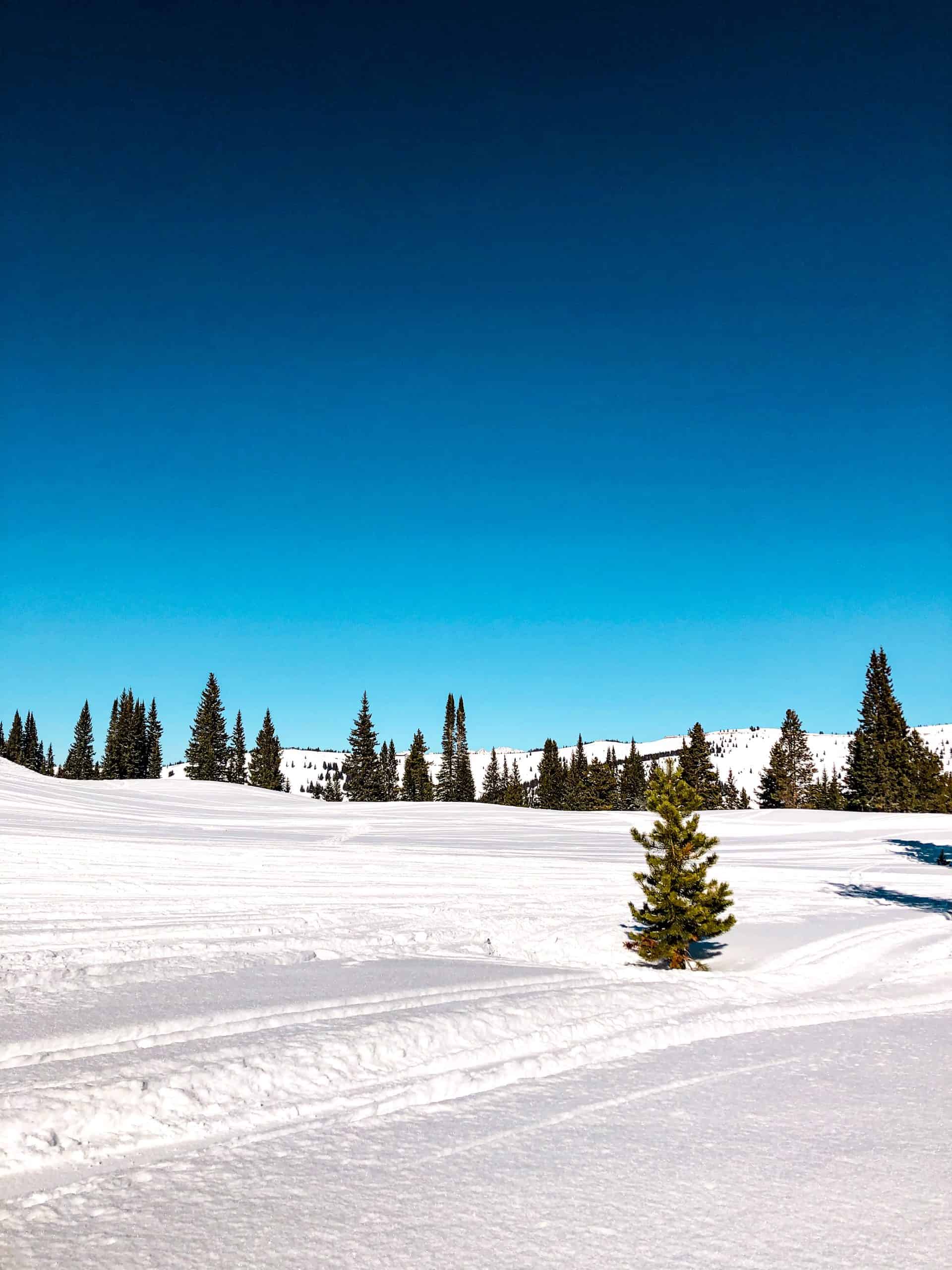 Wide-open ski terrain at a Colorado ski resort with rolling snowfields, scattered trees, and mountain ridgelines