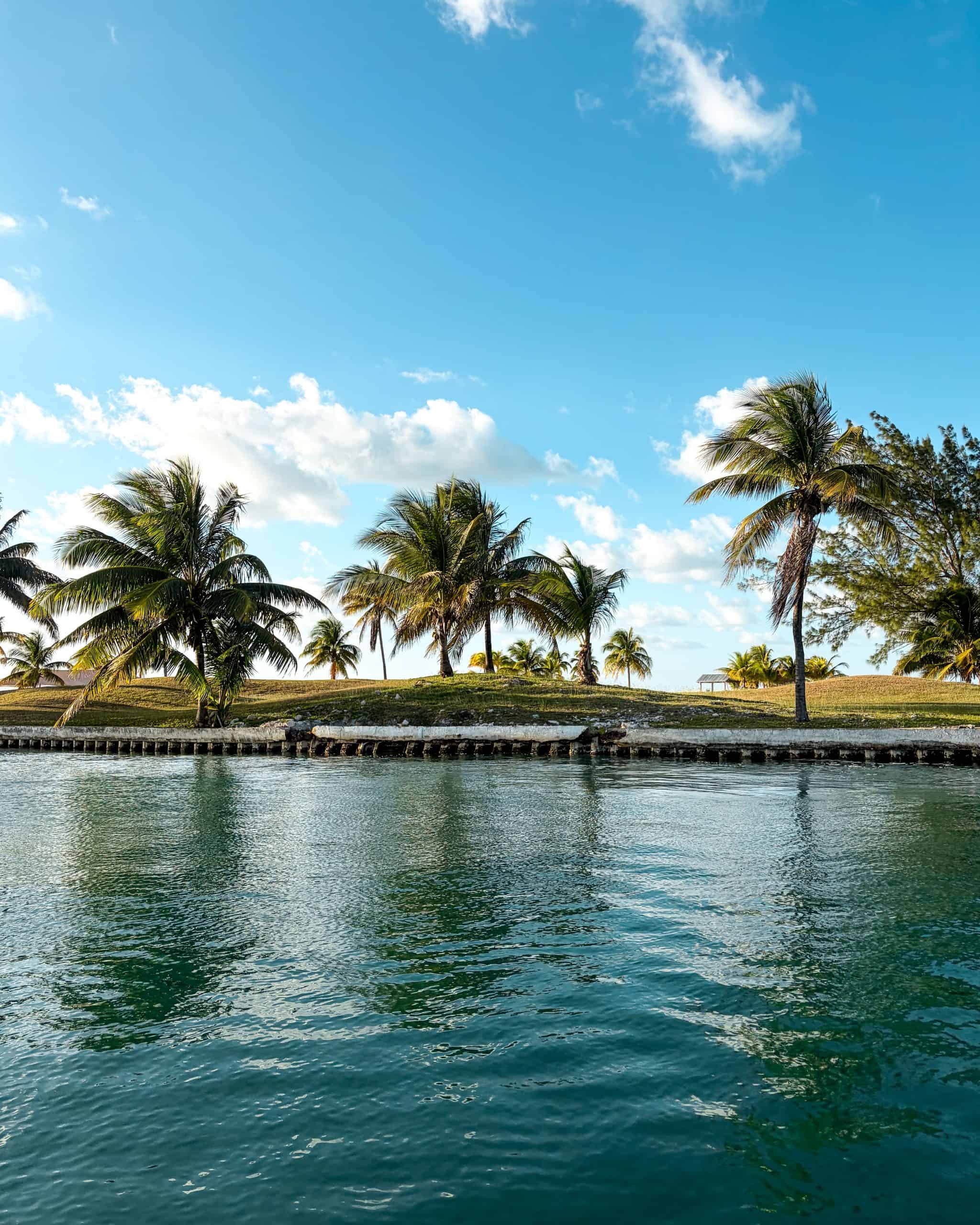 Bright blue water lapping a palm-lined shore under clear skies in Belize