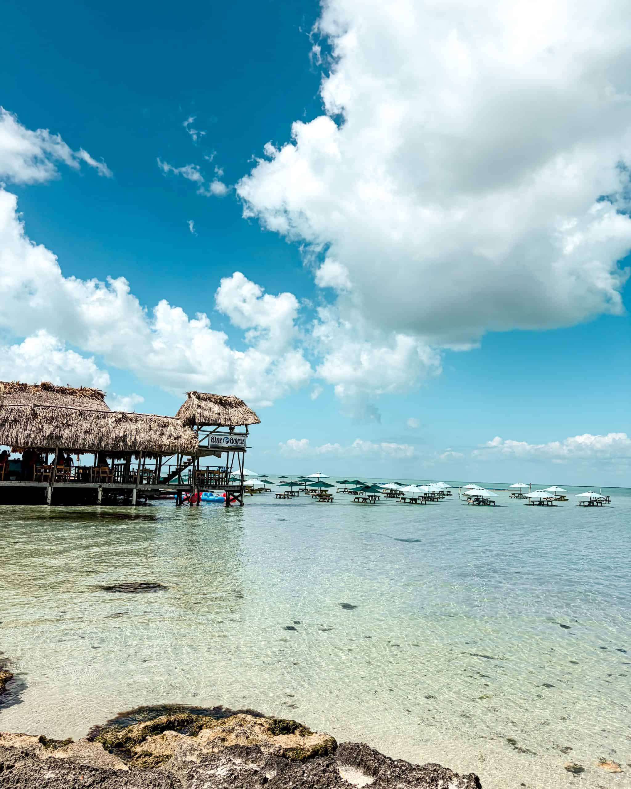 Calm clear blue water stretching out from Secret Beach on a sunny day in San Pedro, Belize